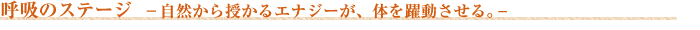 「身近な道具“手”から、形を探る…」
