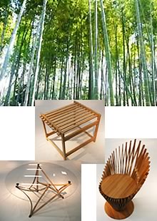 竹プロジェクト